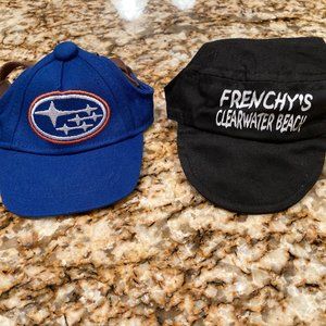 Dog Hats Size Small - Subaru & Frenchy s Clearwater Beach